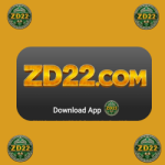 zd22 game